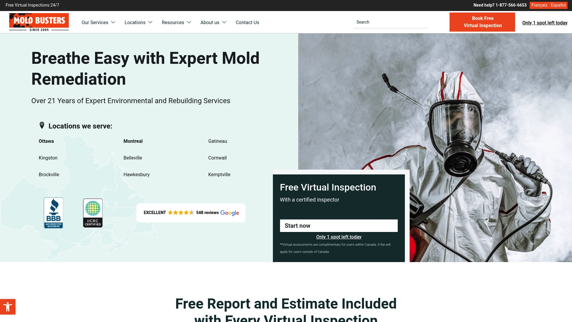 https://bustmold.com